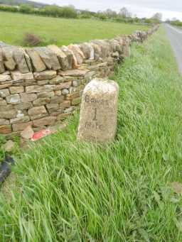 Side view of MILESTONE, 35 METRES WEST OF MILESTONE HOUSE © DCC 2016